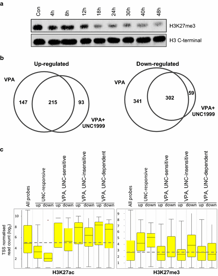 Fig. 7