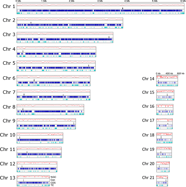 Fig. 2