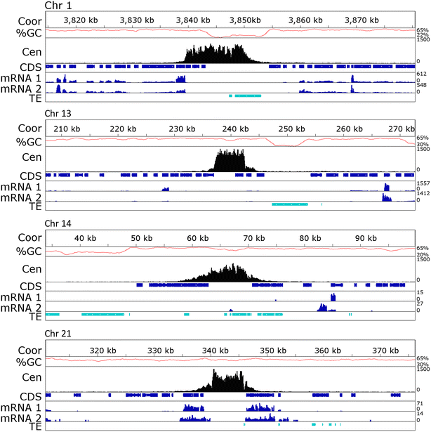 Fig. 3