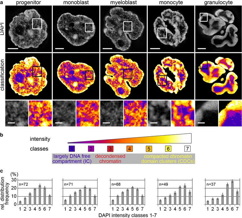 Fig. 4