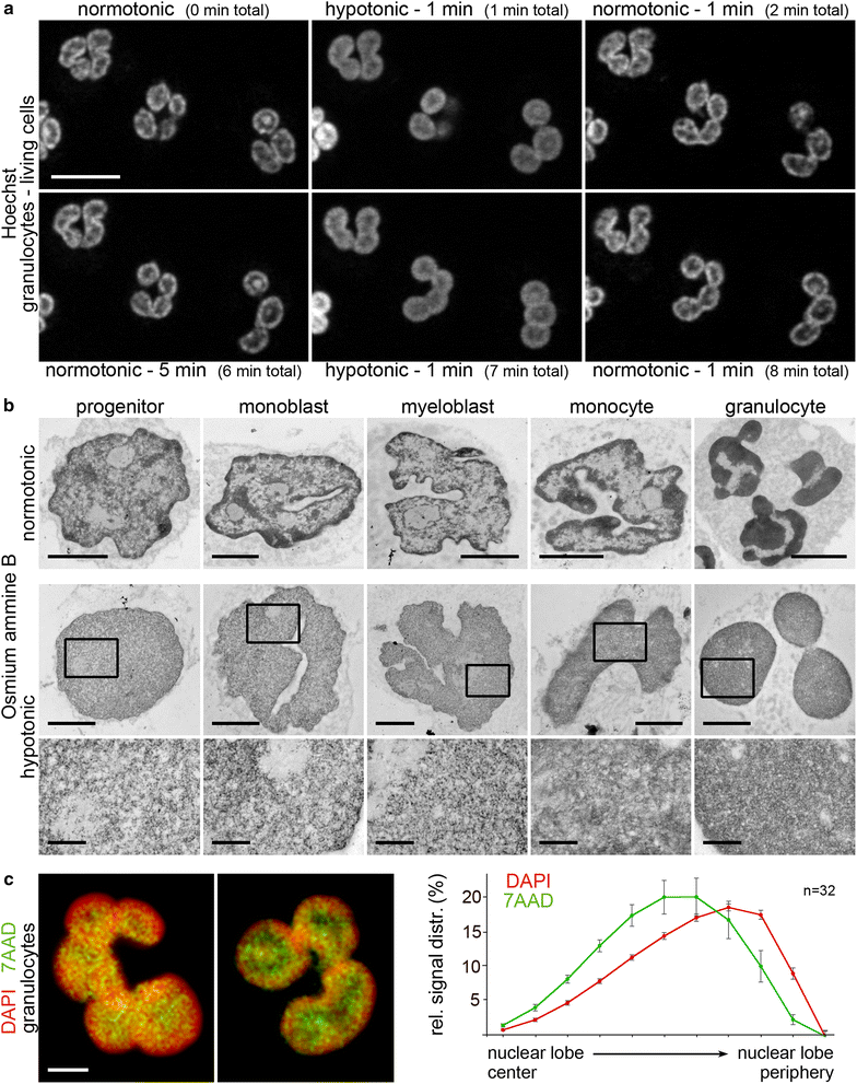 Fig. 9