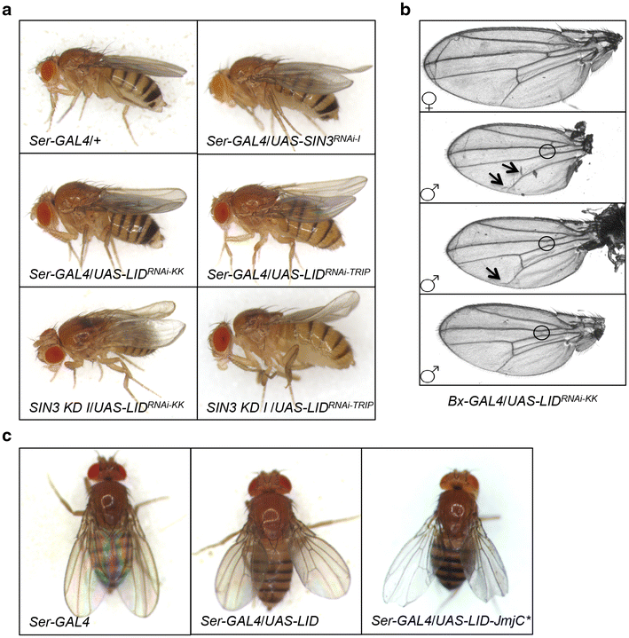 Fig. 3