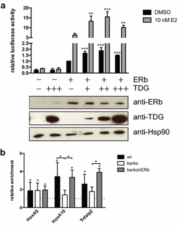 Fig. 6