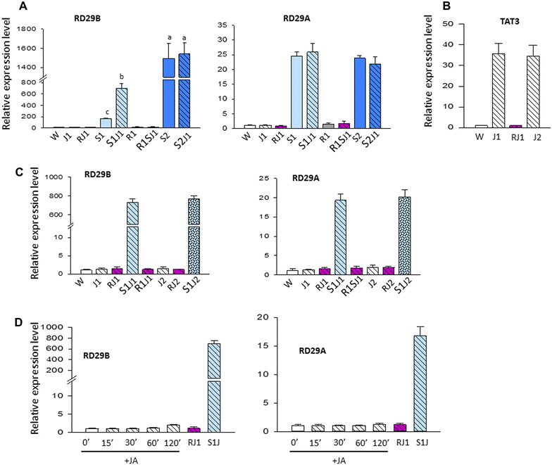 Fig. 2