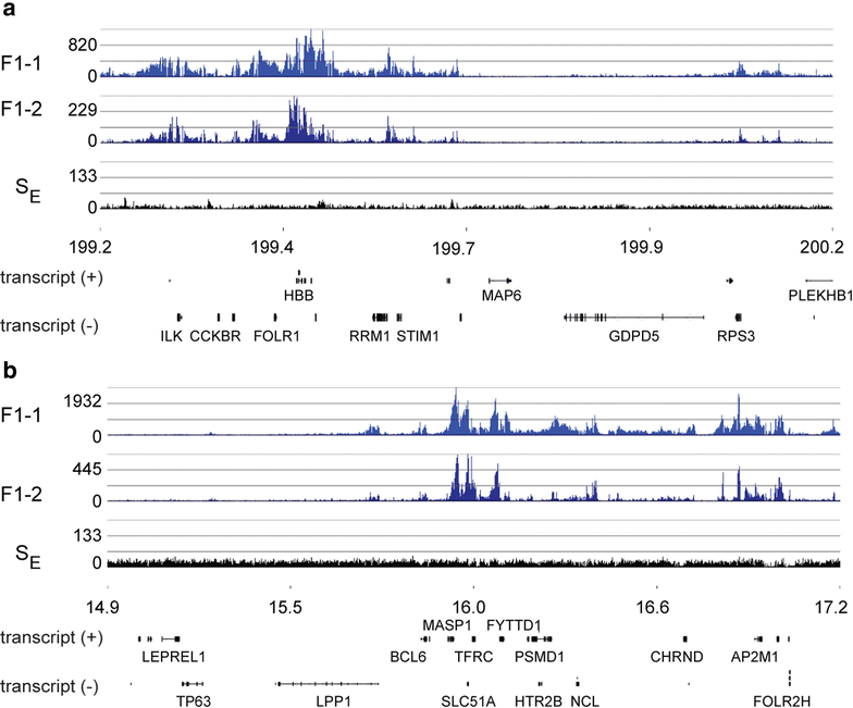 Fig. 1