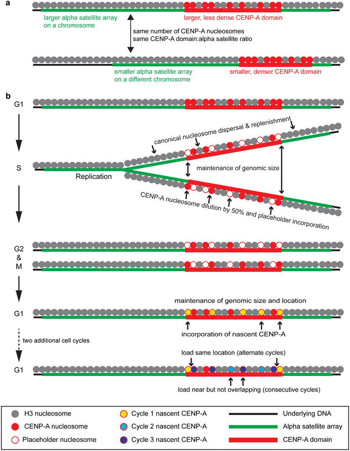 Fig. 7