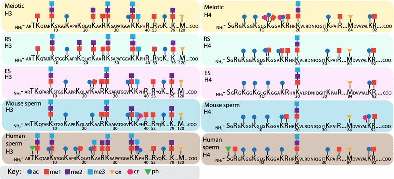 Fig. 4