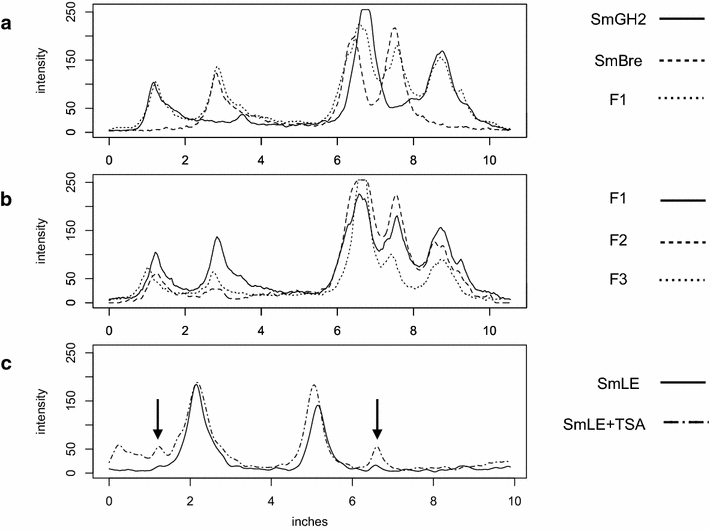 Fig. 4