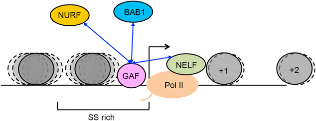 Fig. 7