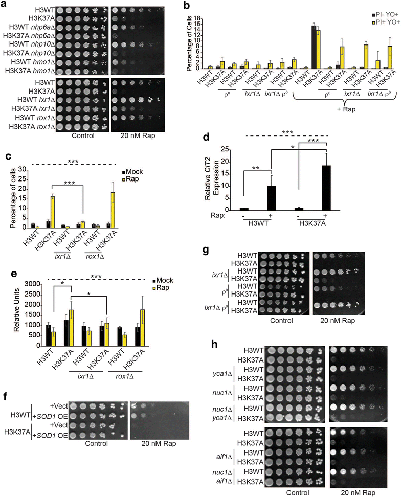 Fig. 4