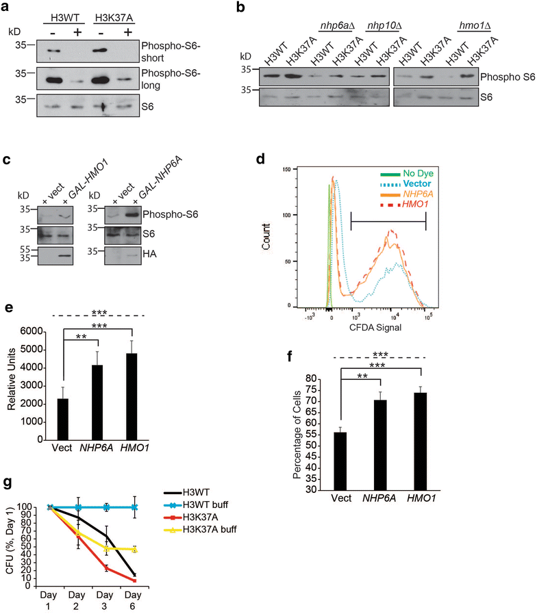 Fig. 6