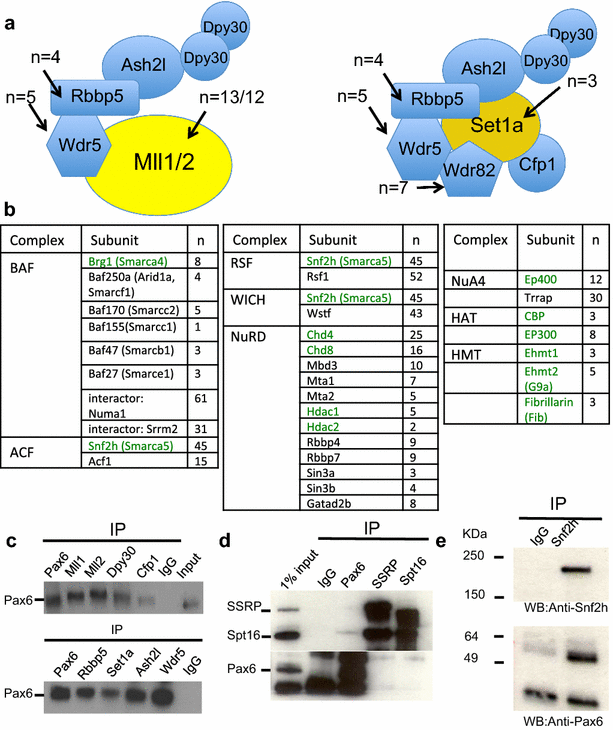 Fig. 2