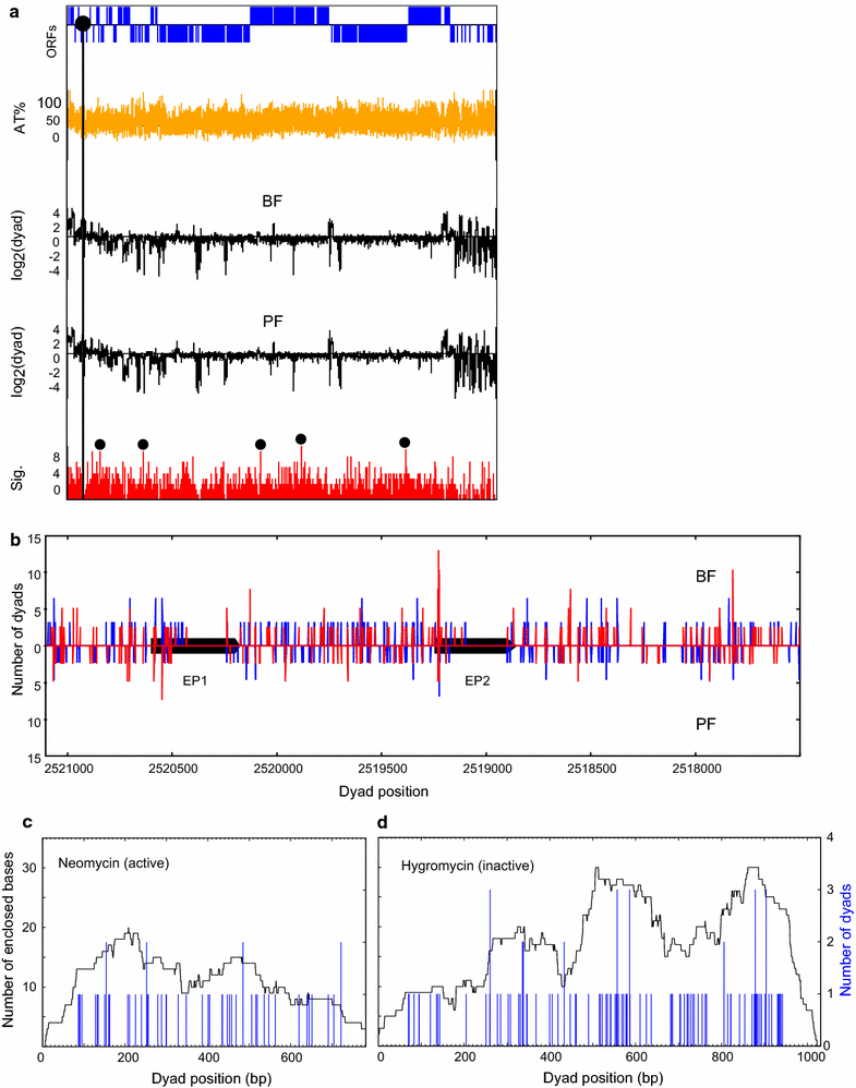 Fig. 4