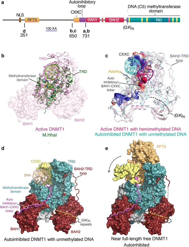 Fig. 3