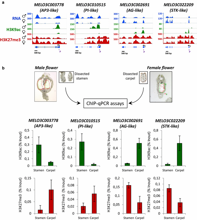 Fig. 4