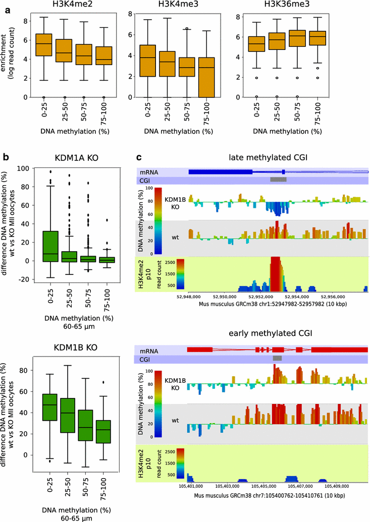 Fig. 7