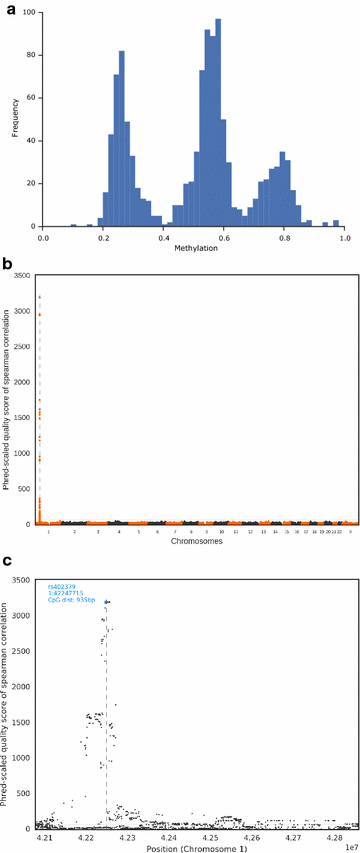 Fig. 7