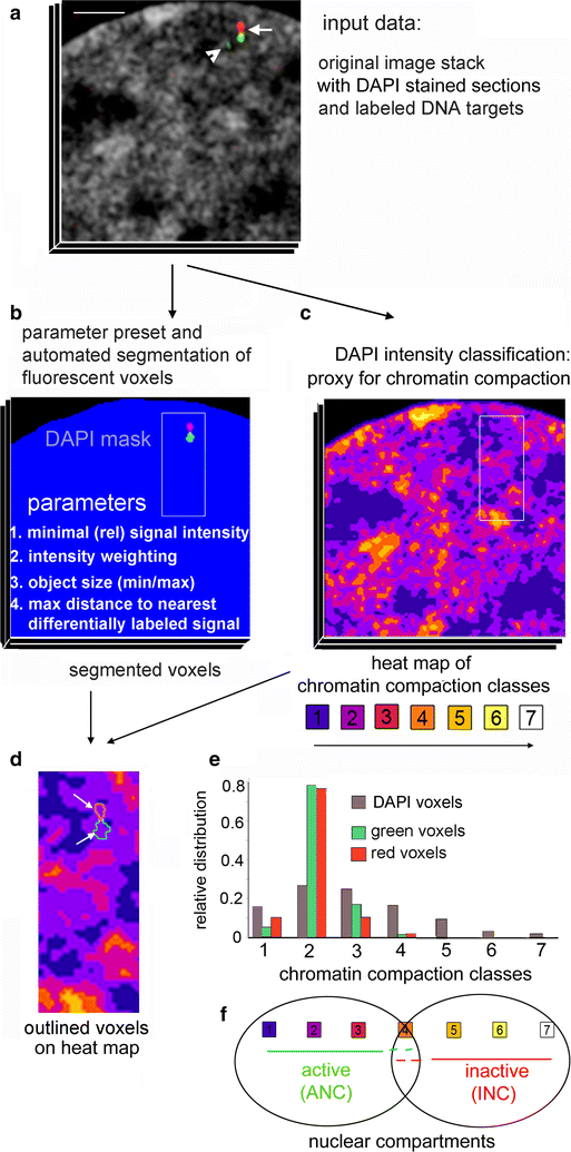 Fig. 1