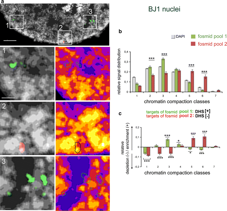 Fig. 4