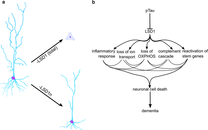 Fig. 4