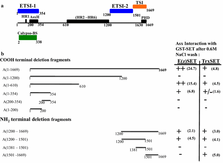 Fig. 4