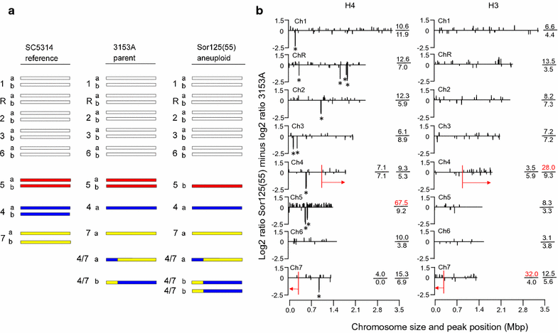 Fig. 1