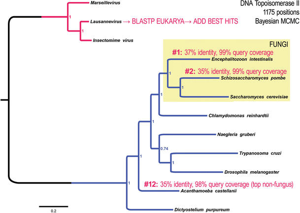 Fig. 4