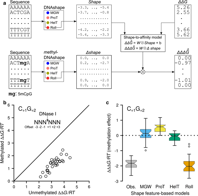 Fig. 5