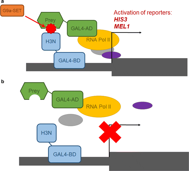 Fig. 2