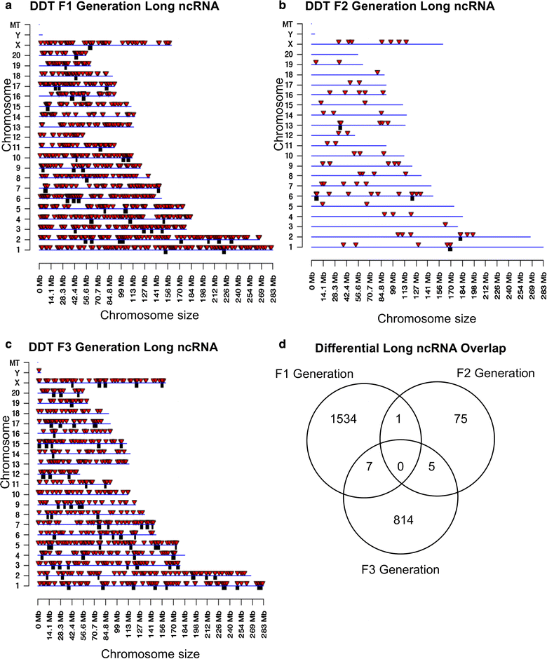 Fig. 6