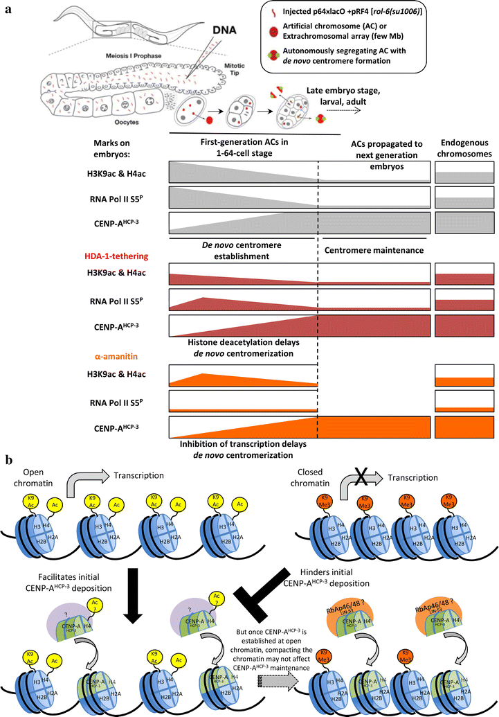 Fig. 6