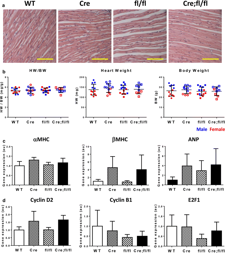 Fig. 4