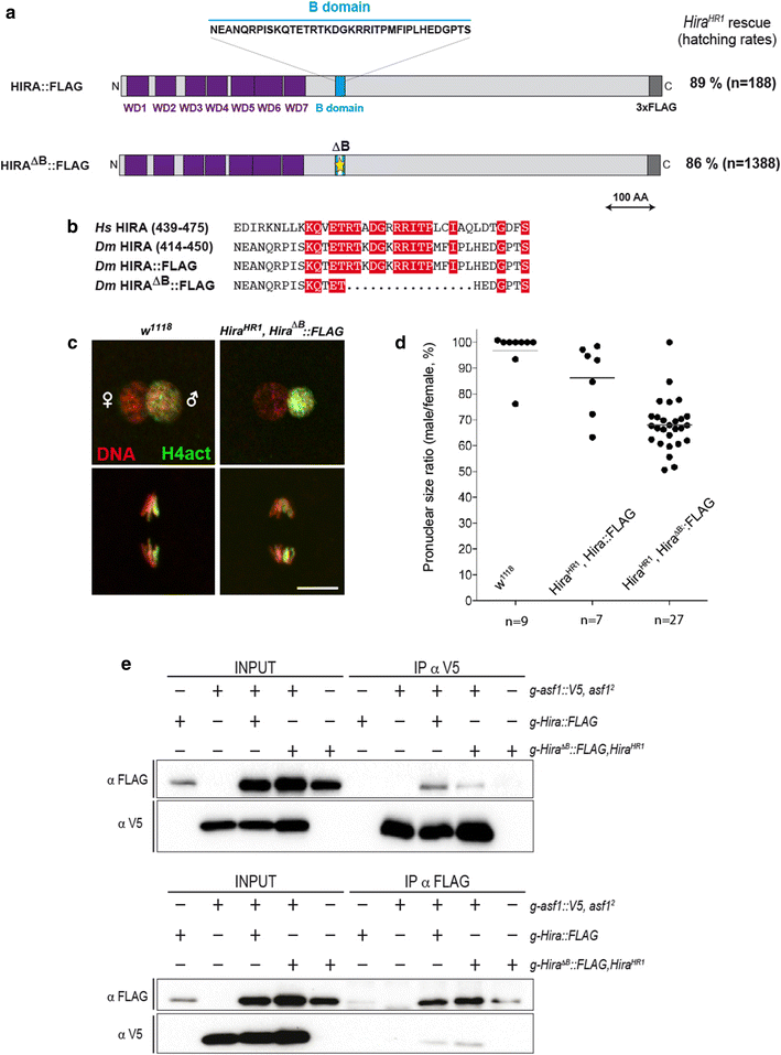 Fig. 6