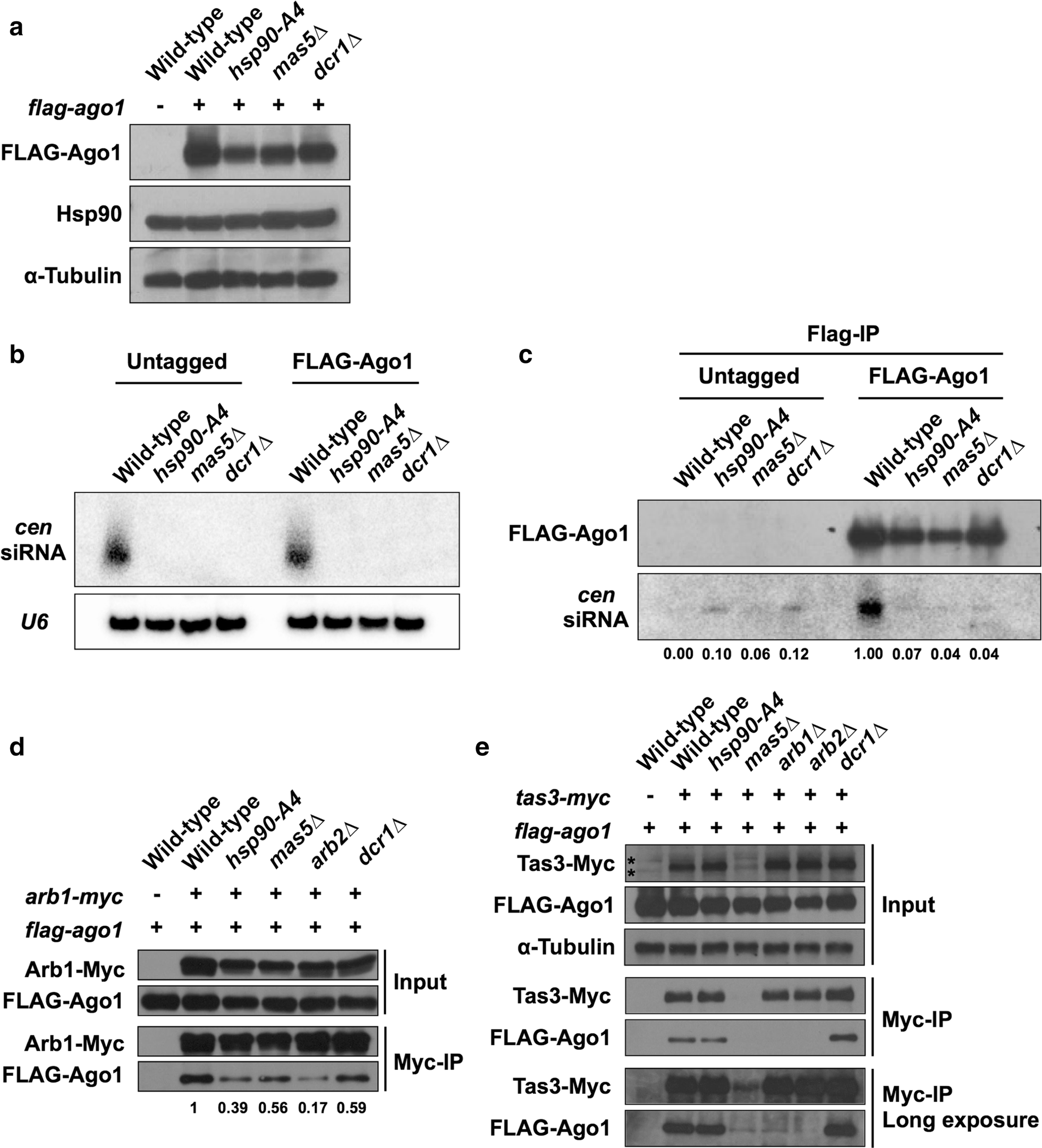 Fig. 4