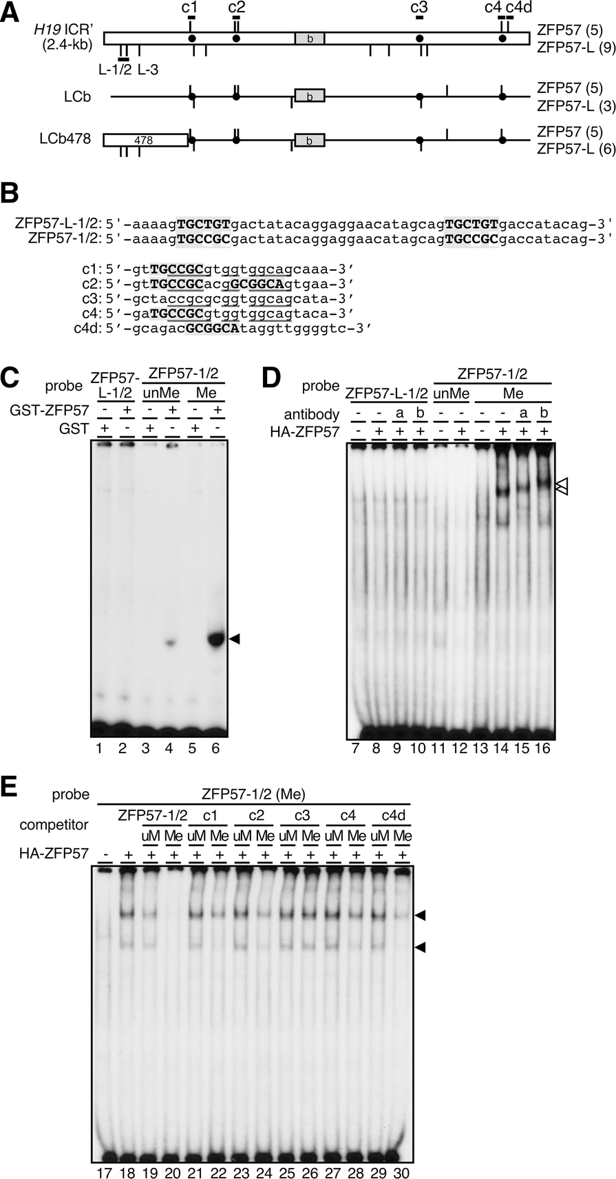 Fig. 4