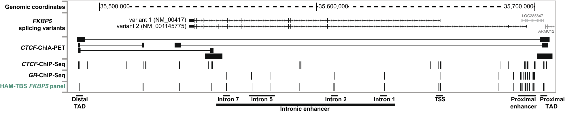 Fig. 6