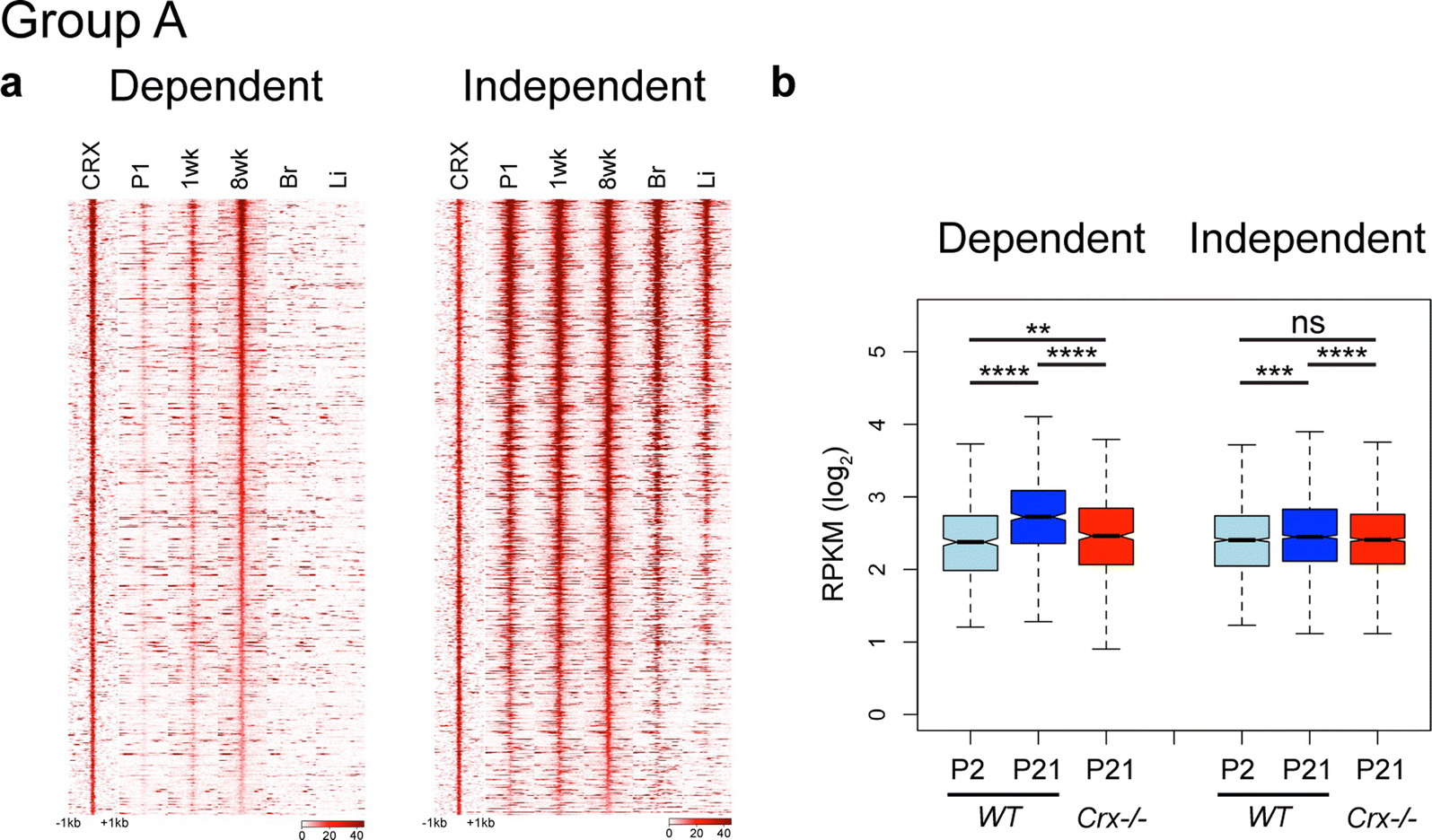 Fig. 4