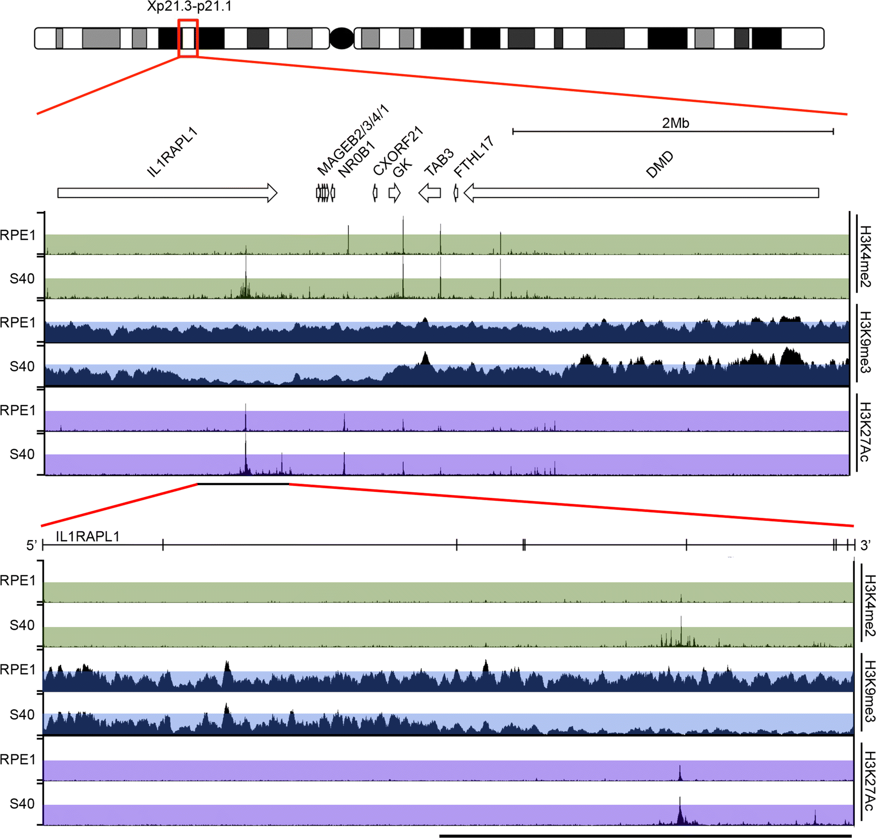 Fig. 4