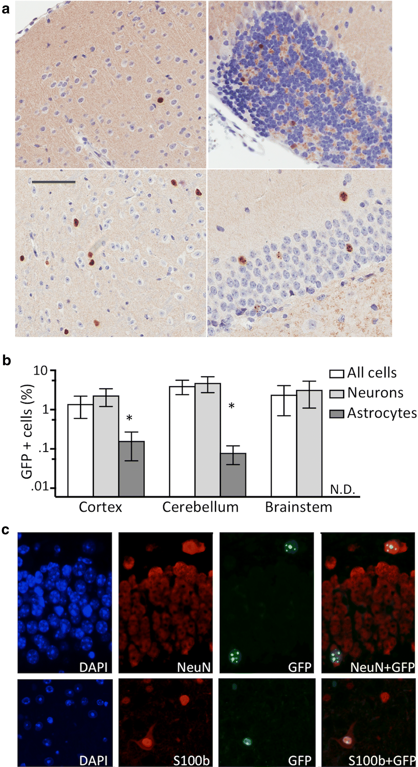 Fig. 4