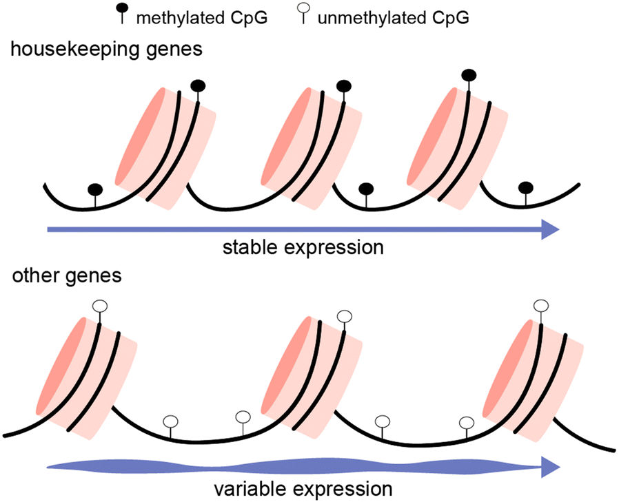 Fig. 6