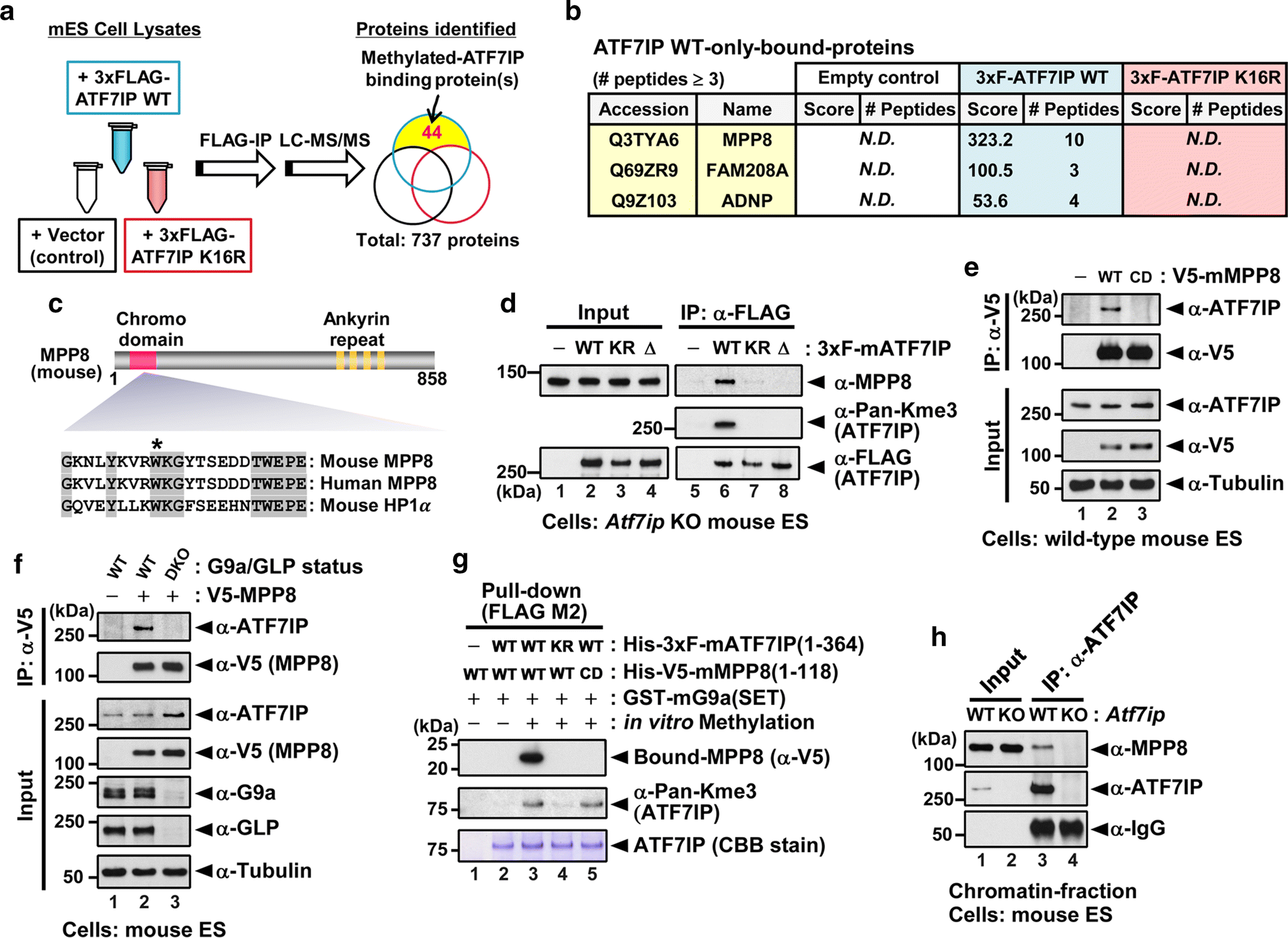 Fig. 5