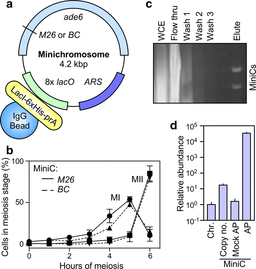 Fig. 2