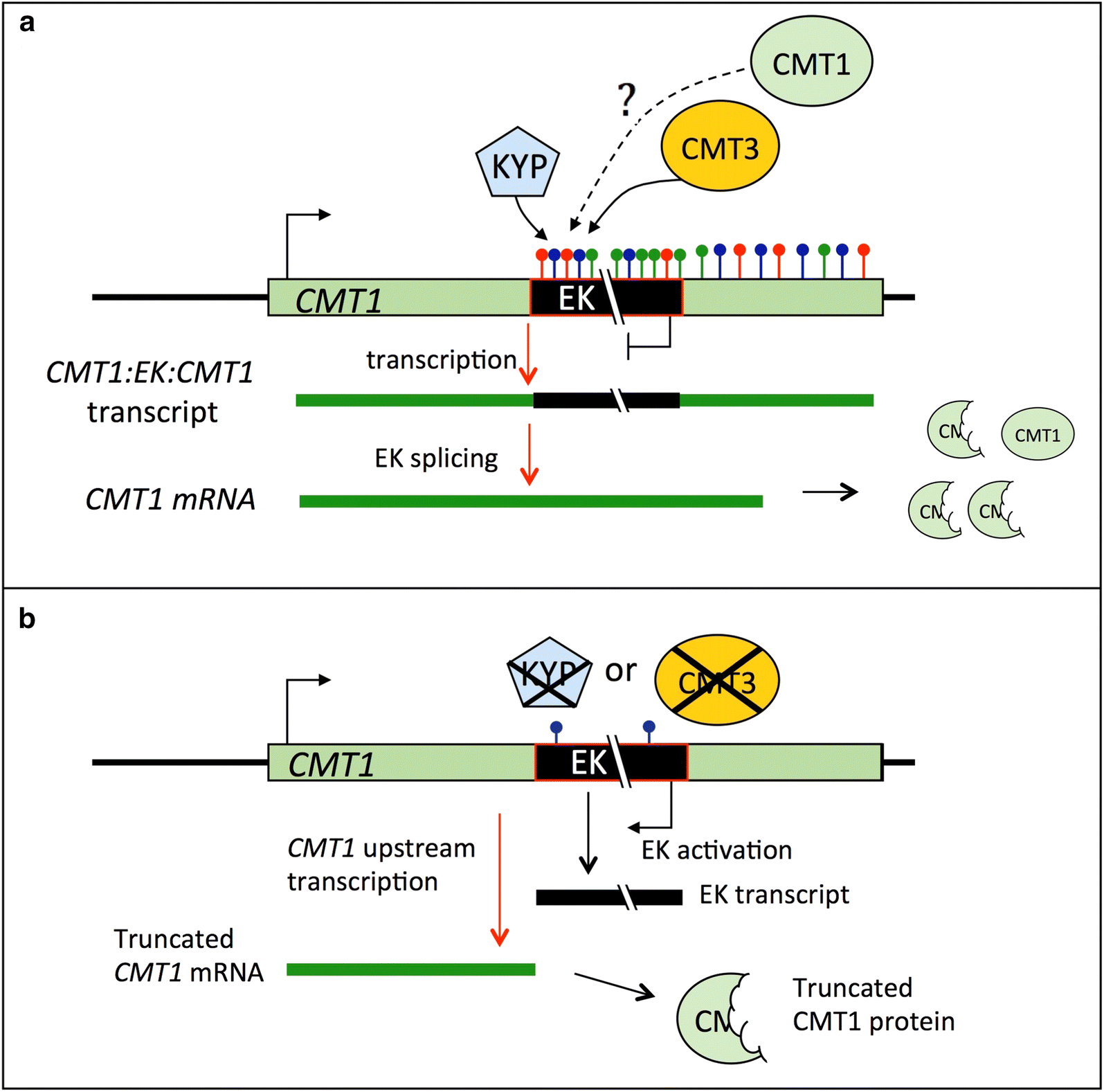 Fig. 6