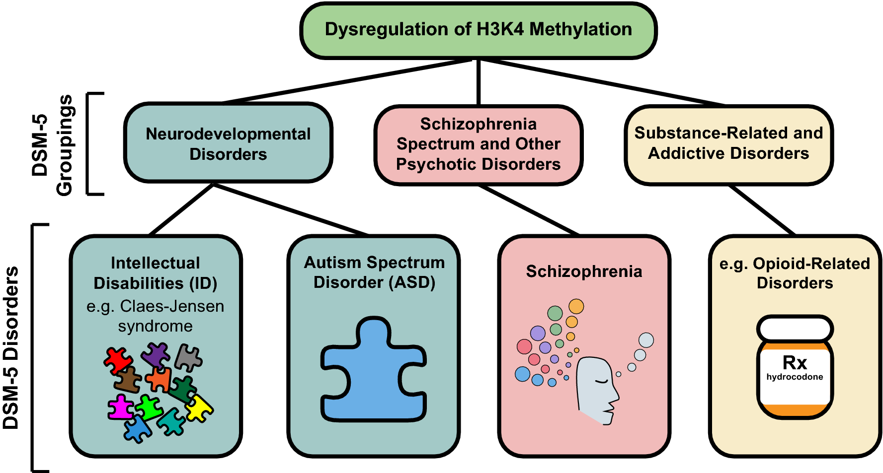 dsm 5 schizophrenia