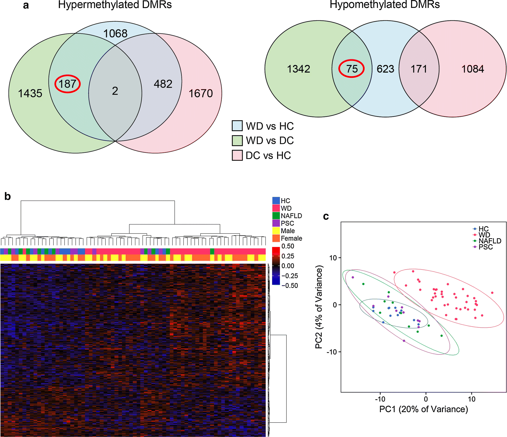 Fig. 5