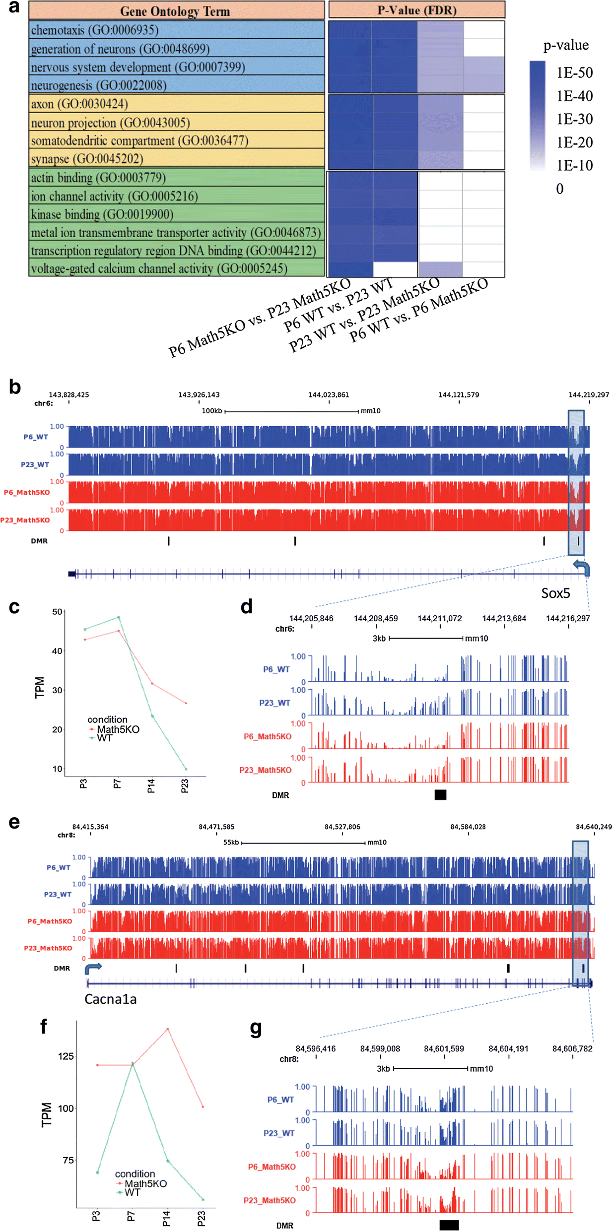 Fig. 4