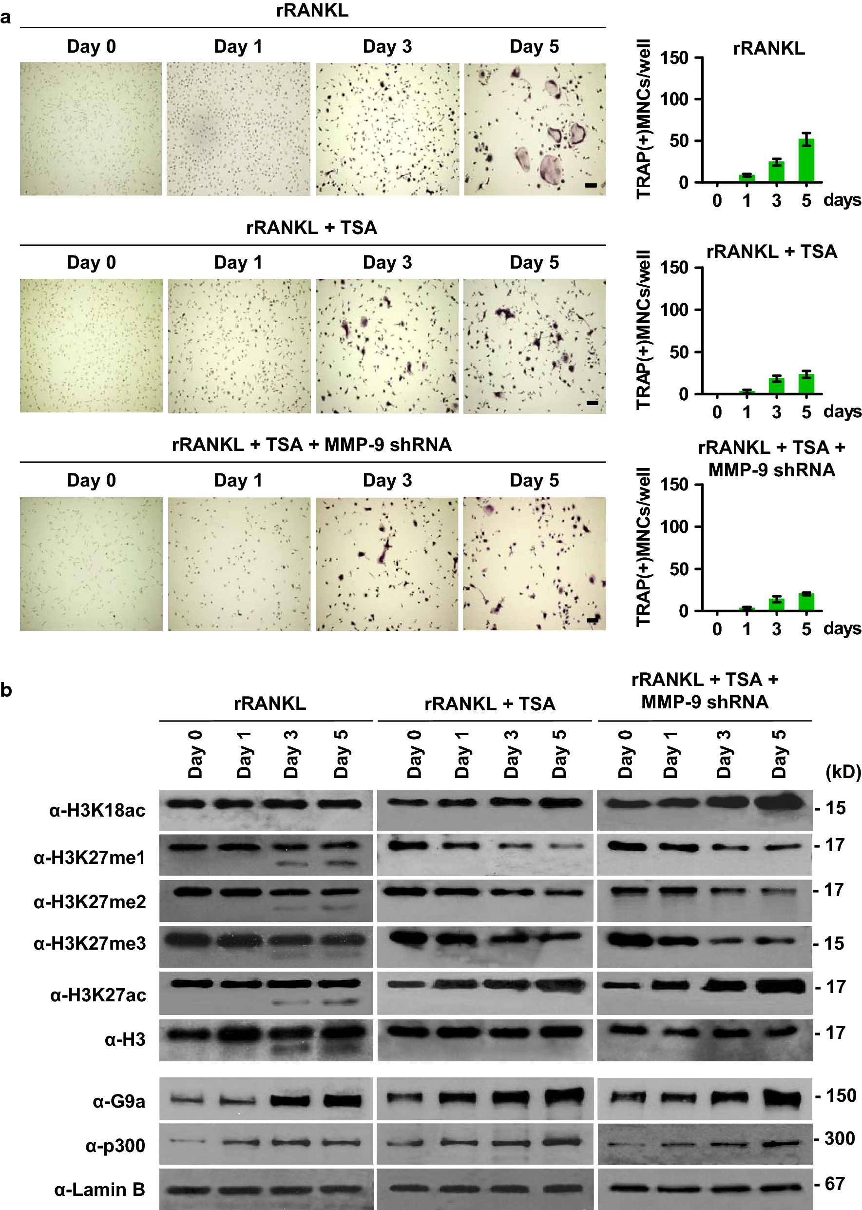 Fig. 4