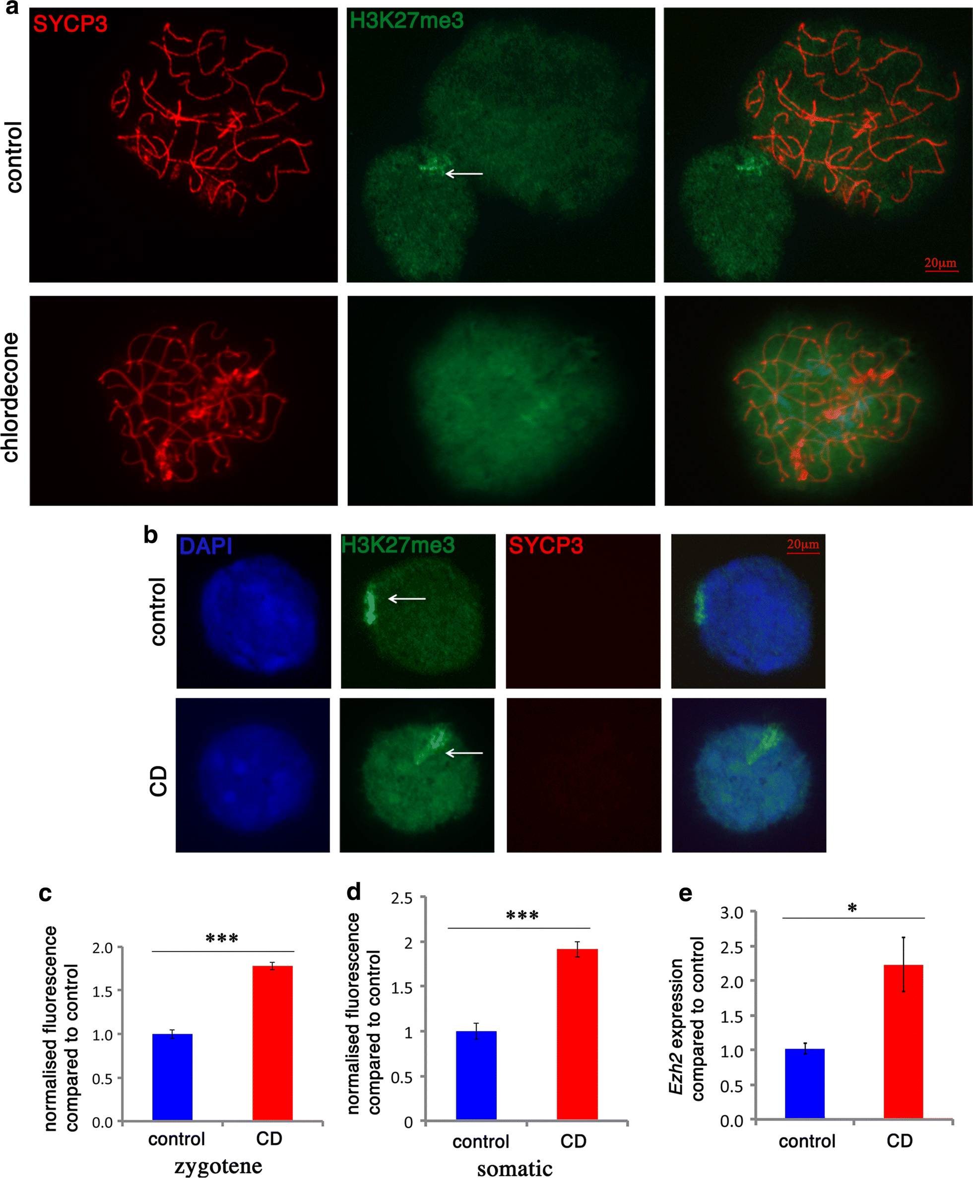 Fig. 4