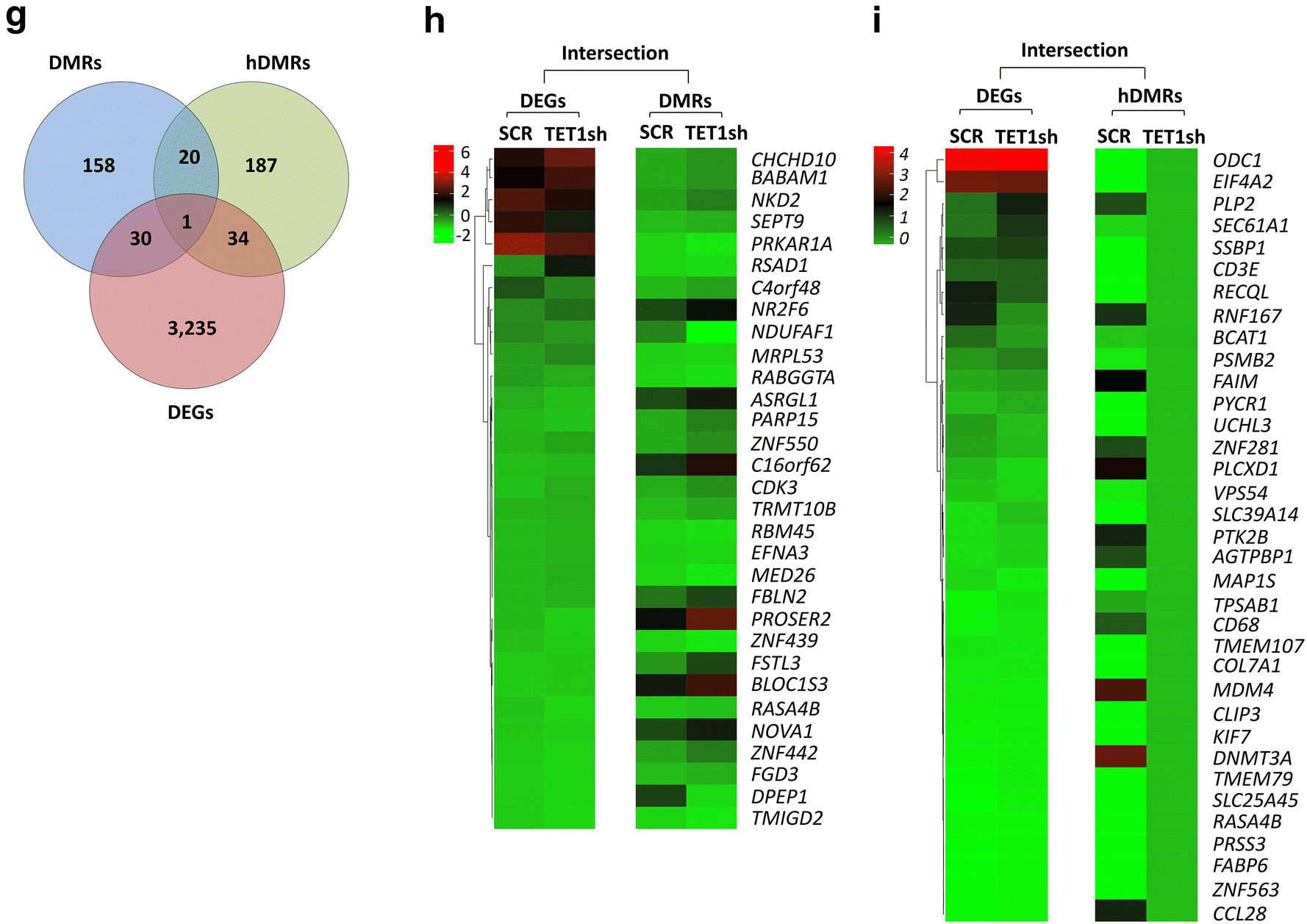 Fig. 5