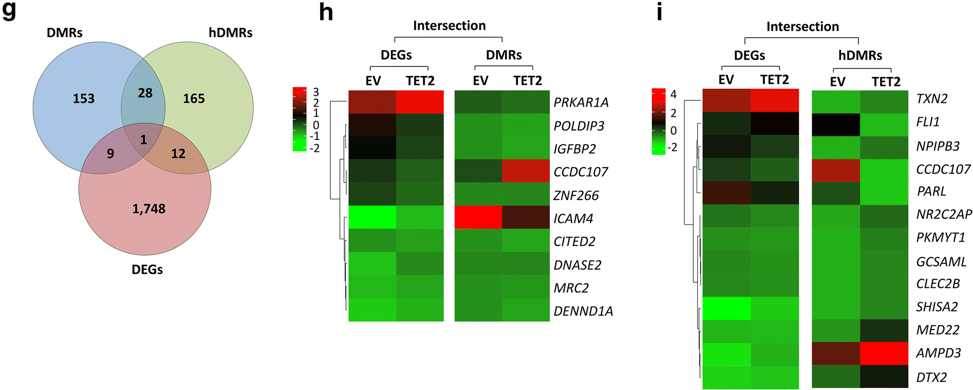 Fig. 7